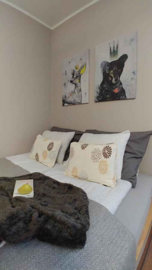 Apartamenty Nova Na Krakowskiej No 1 بييلسكو بياوا المظهر الخارجي الصورة